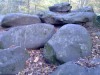 Forest Folly Stones